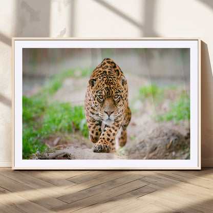 75066-MGV-CV-36X24-Leopard Wall Art Canvas Print, Framed Wild Animal Art Picture Print, Blue Eye Leopard Perfect Wild Minimal Decor Artwork