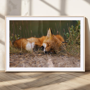 25085-MGC-FP-36x24_Natural-Sleeping Fox Wall Art Canvas Print, Framed Rustic Fox Art Picture Print, Wildlife Animal Perfect Rustic Farmhouse Decor Artwork