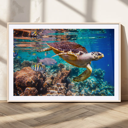 66614-MGC-FP-36x24_Natural-Sea Turtle Wall Art – Hawksbill Turtle Swimming Over Coral Reef Canvas Print, Ocean Marine Life Decor for Beach House, Coastal