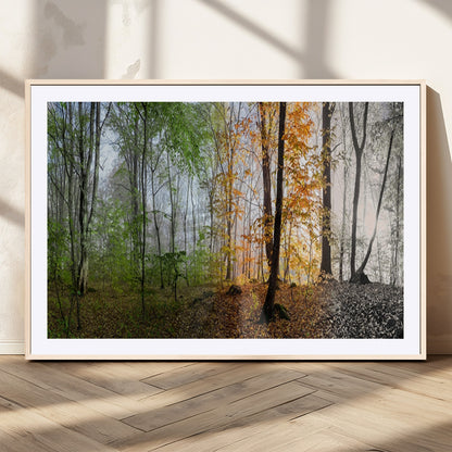 95317-MGC-FP-36x24_Natural-Four Seasons Forest Wall Art – Panoramic Nature Canvas Print Showing Spring, Summer, Autumn and Winter Landscape for Living Room,