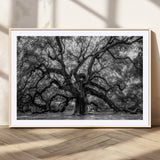 132944706-MGV-CV-36X24-Ancient Tree Wall Art – Black and White Photography Canvas Print Featuring Majestic Twisting Branches, Rustic Nature Artwork for
