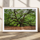51255351-MGV-CV-36X24-Ancient Tree Wall Art – Majestic Oak Canvas Print, Large Nature Photography, Sacred Forest Landscape Wall Décor, Wisdom Tree