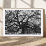 81655611-MGV-CV-36X24-Ancient Oak Wall Art Canvas Print, Framed Twisted Branches Art Picture Print, Gnarled Tree Perfect Moody Nature Decor Artwork