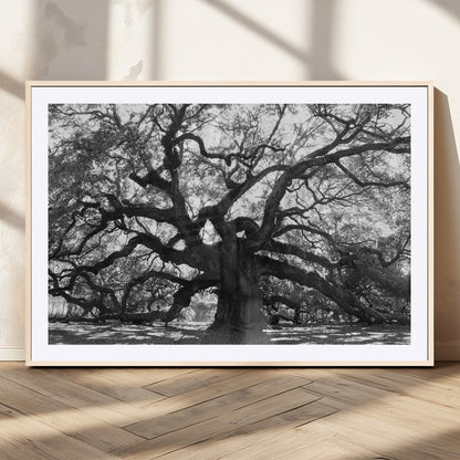 81655611-MGV-CV-36X24-Ancient Oak Wall Art Canvas Print, Framed Twisted Branches Art Picture Print, Gnarled Tree Perfect Moody Nature Decor Artwork