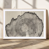 98921313-MGC-FP-36x24_Natural-Tree Ring Wall Art Canvas Print, Framed Wood Slice Art Picture Print, Minimalist Wood Perfect Rustic Academic Decor Artwork