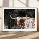 54027638-MGV-CV-36X24-Texas Longhorn Wall Art Canvas Print, Framed Spotted Cow Art Picture Print, Horned Bull Perfect Rustic Western Decor Artwork
