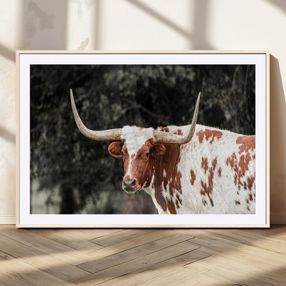 54027638-MGV-CV-36X24-Texas Longhorn Wall Art Canvas Print, Framed Spotted Cow Art Picture Print, Horned Bull Perfect Rustic Western Decor Artwork