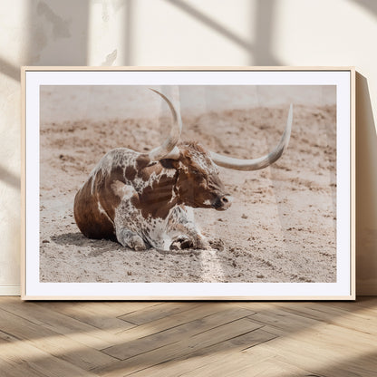 25407592-MGC-FP-36x24_Natural-Texas Longhorn Wall Art Canvas Print, Framed Resting Bull Art Picture Print, Spotted Cattle Perfect Rustic Western Decor Artwork