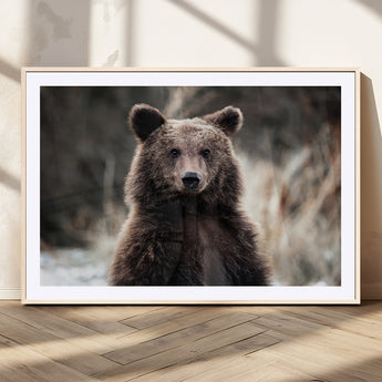 47112103-MGC-FP-36x24_Natural-Brown Bear Wall Art Canvas Print, Framed Forest Wildlife Art Picture Print, Woodland Bear Perfect Rustic Cabin Decor Artwork