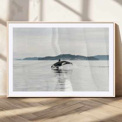 10157174-MGV-CV-36X24-Orca Whale Wall Art Canvas Print, Framed Black White Whale Art Picture Print, Minimalist Ocean Perfect Coastal Minimalist Decor