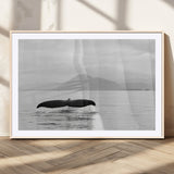 30524220-MGC-FP-36x24_Natural-Whale Tail Wall Art Canvas Print, Framed Black White Ocean Art Picture Print, Calm Marine Perfect Minimalist Coastal Decor Artwork