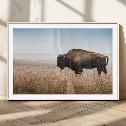 99620201-MGC-FP-36x24_Natural-Wild Bison Wall Art Canvas Print, Framed Bison in Prairie Art Picture Print, Rustic Western Perfect Rustic Western Decor Artwork