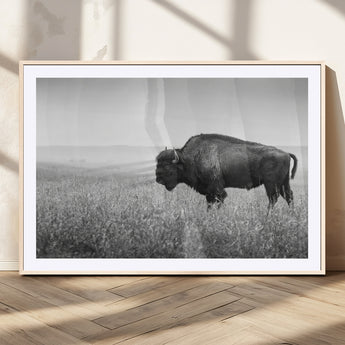 28435251-MGV-CV-36X24-Bison In Prairie Wall Art Canvas Print, Framed Rustic Wildlife Art Picture Print, Wild Buffalo Perfect Rustic Western Decor