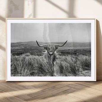 24051061-MGV-CV-36X24-Monochrome Highland Cow Wall Art Canvas Print, Framed Scottish Bull Art Picture Print, Lone Cattle Perfect Rustic Farmhouse Decor