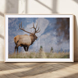 26365841-MGV-CV-36X24-Mountain Elk Art Wall Art Canvas Print, Framed Rustic Wildlife Print Art Picture Print, Lodge Style Decor Perfect Rustic Lodge