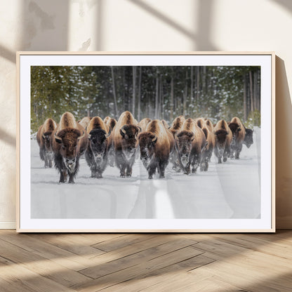 22695857-MGV-CV-36X24-Bison Herd Scene Wall Art Canvas Print, Framed Western Wildlife Art Picture Print, Rustic Animal Art Perfect Rustic Lodge Decor