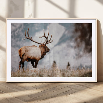 70489411-MGC-FP-36x24_Natural-Elk Photography Wall Art Canvas Print, Framed Mountain Wildlife Art Picture Print, Rustic Nature Decor Perfect Rustic Lodge Decor