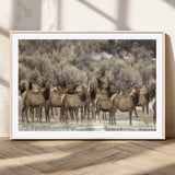 90269422-MGV-CV-36X24-Elk Herd Scene Wall Art Canvas Print, Framed Rustic Wildlife Decor Art Picture Print, Western Cabin Style Perfect Rustic Lodge