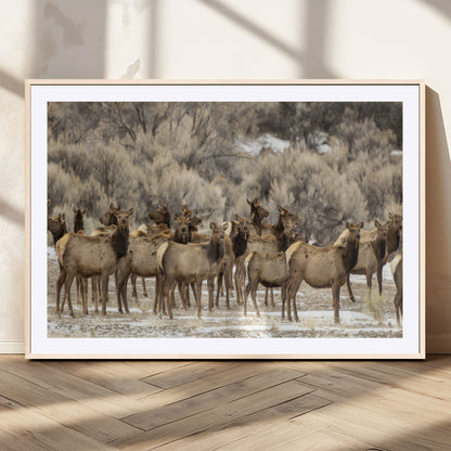 90269422-MGV-CV-36X24-Elk Herd Scene Wall Art Canvas Print, Framed Rustic Wildlife Decor Art Picture Print, Western Cabin Style Perfect Rustic Lodge