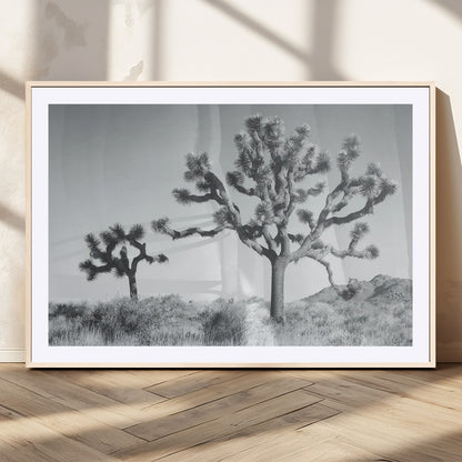 58647785-MGC-FP-36x24_Natural-Calm Earthy Aesthetic Wall Art Canvas Print, Framed Arid Terrain Decor Art Picture Print, Joshua Tree Perfect Rustic Minimalist