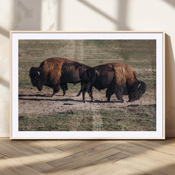 58141885-MGV-CV-36X24-Bison Photography Wall Art Canvas Print, Framed Western Wildlife Art Picture Print, Modern Ranch Perfect Western Rustic Decor
