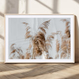 17019393-MGC-FP-36x24_Natural-Pampas Grass Wall Art Canvas Print, Framed Neutral Tones Art Picture Print, Minimalist Nature Perfect Boho Minimalist Decor