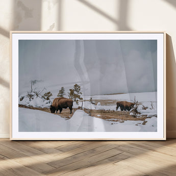 60308289-MGV-CV-36X24-Bison Wildlife Wall Art Canvas Print, Framed Snowy Prairie Art Picture Print, Western Landscape Perfect Rustic Winter Decor