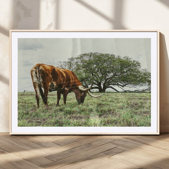 91866234-MGV-CV-36X24-Texas Longhorn Wall Art Canvas Print, Framed Rustic Ranch Art Picture Print, Western Cattle Perfect Rustic Farmhouse Decor Artwork