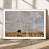 22754563-MGV-CV-36X24-Earthy Tones Wall Art Canvas Print, Framed Rustic Nature Art Picture Print, Solitary Buffalo Perfect Western Minimalist Decor