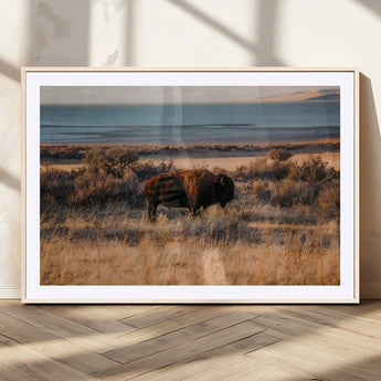 39509187-MGV-CV-36X24-Western Wildlife Wall Art Canvas Print, Framed Bison Art Picture Print, Golden Hour Perfect Western Rustic Decor Artwork