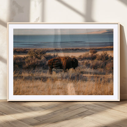 39509187-MGV-CV-36X24-Western Wildlife Wall Art Canvas Print, Framed Bison Art Picture Print, Golden Hour Perfect Western Rustic Decor Artwork