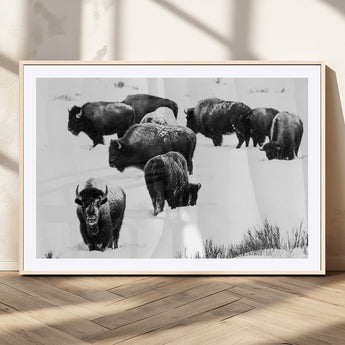 18914414-MGV-CV-36X24-Buffalo Herd Wall Art Canvas Print, Framed Black and White Art Picture Print, Snowy Landscape Perfect Rustic Lodge Decor Decor