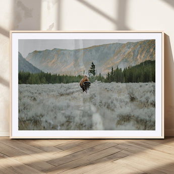 41674074-MGC-FP-36x24_Natural-Bison Wall Art – American Buffalo Wildlife Photography Canvas Print, Western Mountain Landscape Artwork Rustic Nature Decor for