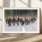96906195-MGC-FP-36x24_Natural-Bison Herd Wall Art – American Buffalo Wildlife Photography Canvas Print, Winter Snow Scene Western Nature Decor for Living Room,