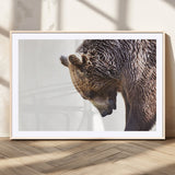 14405507-MGV-CV-36X24-Bear Wall Art – Wildlife Canvas Print with Rustic Animal Portrait and Minimalist Background, Nature Inspired Photography for