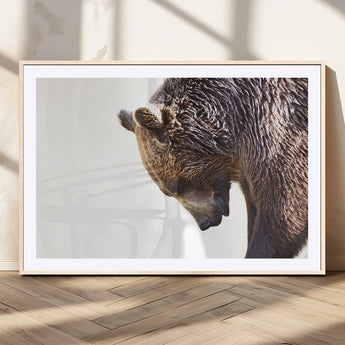 14405507-MGV-CV-36X24-Bear Wall Art – Wildlife Canvas Print with Rustic Animal Portrait and Minimalist Background, Nature Inspired Photography for