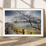 34632598CRY-MGC-FP-36x24_Natural-Sakura Cherry Blossom Pathway Canvas Wall Art – Tranquil Walk Through Blossoming Nature – Ready to Hang