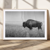 90861202-MGC-FP-36x24_Natural-Black and White Bison Canvas Wall Art – Rustic American Buffalo Print, Western Wildlife Photography for Farmhouse, Cabin, Office