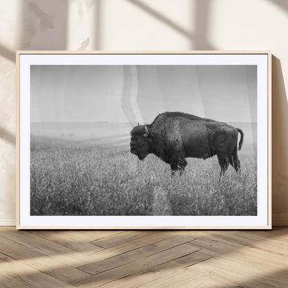 90861202-MGC-FP-36x24_Natural-Black and White Bison Canvas Wall Art – Rustic American Buffalo Print, Western Wildlife Photography for Farmhouse, Cabin, Office