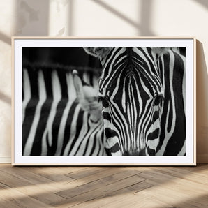 43631-MGC-FP-36x24_Natural-Zebra Wall Art – Black & White Safari Wildlife Canvas Print, Modern Animal Photography Decor for Living Room, Office, or Bedroom