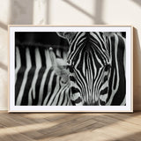 43631-MGC-FP-36x24_Natural-Zebra Wall Art – Black & White Safari Wildlife Canvas Print, Modern Animal Photography Decor for Living Room, Office, or Bedroom