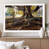 53335-MGV-CV-36X24-Majestic Tree with Sprawling Roots Wall Art – Serene Sunlit Park Scene, Nature Canvas Print, Perfect for Living Room, Office or