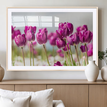 30632-MGV-CV-36X24-Purple Tulip Field Wall Art – Beautiful Spring Flowers Canvas Print with Soft Focus and Bright Sky, Ideal Floral Decor for Home or