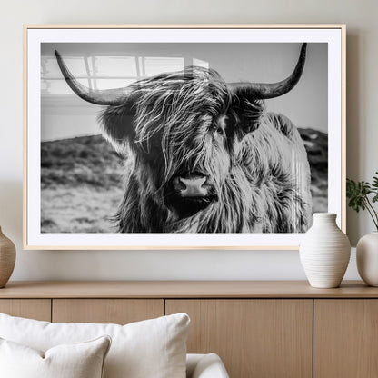 36979-MGC-FP-36x24_Natural-Striking black-and-white portrait of a Highland cow with flowing fur and majestic horns, perfect for rustic and elegant home or