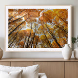11823-MGC-FP-36x24_Natural-Golden Autumn Tree Canopy Wall Art – Stunning Fall Forest Leaves Print, Warm Seasonal Nature Decor for Home, Office or Cabin
