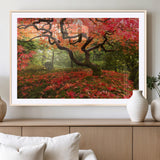 73343-MGV-CV-36X24-Autumn Maple Wall Art – Panoramic Vibrant Red Maple Tree Canvas Print, Seasonal Nature Decor for Office, Living Room or Garden