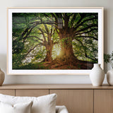 52150-MGV-CV-36X24-Majestic Tree Wall Art – Large Nature Canvas Print with Sunlight Through Branches, Rustic Forest Decor for Living Room, Bedroom or