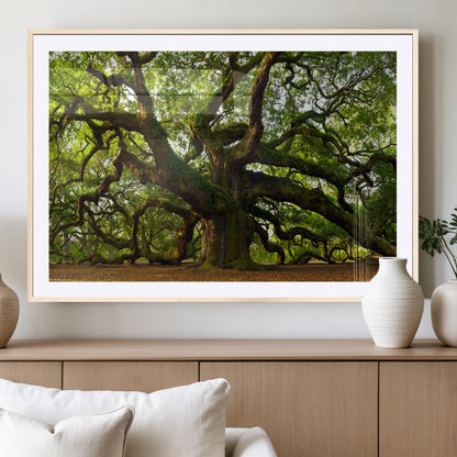 29407-MGV-CV-36X24-Ancient Oak Tree Wall Art – Majestic Nature Canvas Print, Large Tree Photography Decor for Living Room or Office