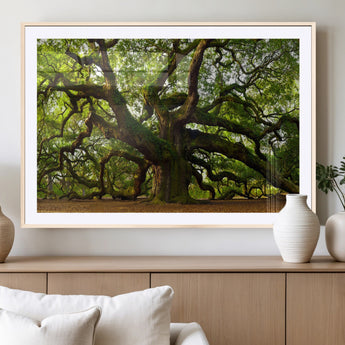 29407-MGC-FP-36x24_Natural-Ancient Oak Tree Wall Art – Majestic Nature Canvas Print, Large Tree Photography Decor for Living Room