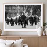 62434-MGV-CV-36X24-Bison Herd Wall Art – Majestic Black and White Buffalo Canvas Print, Wildlife Nature Photography Decor for Living Room, Office or